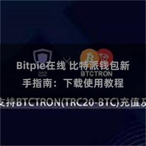 Bitpie在线 比特派钱包新手指南：下载使用教程