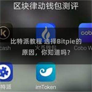 比特派教程 选择Bitpie的原因，你知道吗？