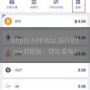 Bitpie APP地址 选择Bitpie的原因，你知道吗？