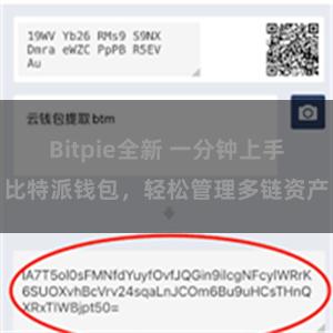 Bitpie全新 一分钟上手比特派钱包，轻松管理多链资产