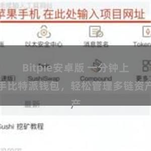 Bitpie安卓版 一分钟上手比特派钱包，轻松管理多链资产