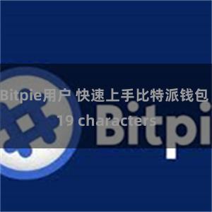 Bitpie用户 快速上手比特派钱包 19 characters