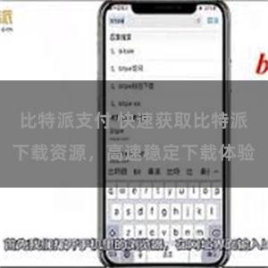 比特派支付 快速获取比特派下载资源，高速稳定下载体验