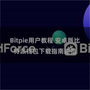 Bitpie用户教程 安卓版比特派钱包下载指南速览