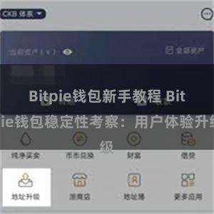 Bitpie钱包新手教程 Bitpie钱包稳定性考察：用户体验升级
