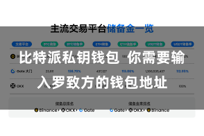 比特派私钥钱包  你需要输入罗致方的钱包地址
