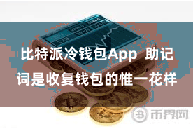 比特派冷钱包App  助记词是收复钱包的惟一花样