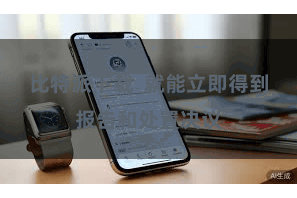 比特派下载  就能立即得到报告和处置决议