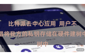 比特派去中心应用  用户不错将我方的私钥存储在硬件建树中