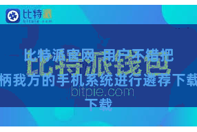 比特派官网  用户不错把柄我方的手机系统进行遴荐下载