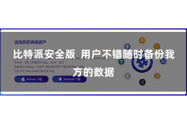 比特派安全版  用户不错随时备份我方的数据